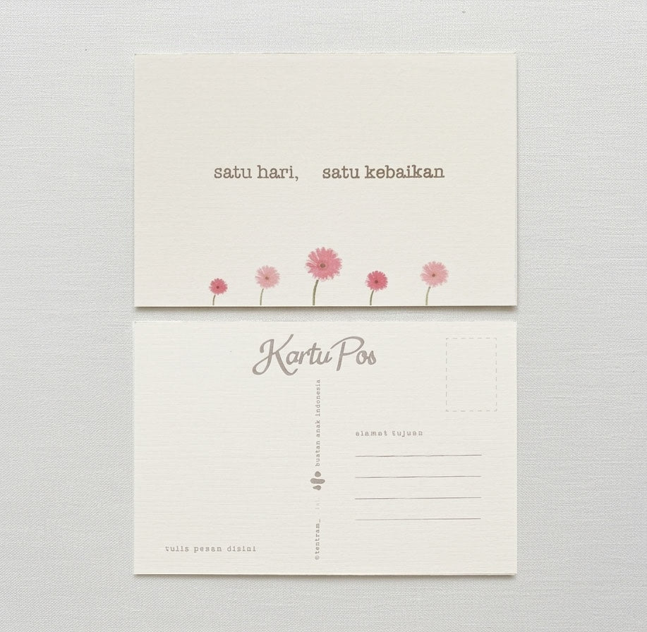 Curated Postcard Set